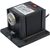  Станок заточной электрический P.I.T. PMTS 1003-C 