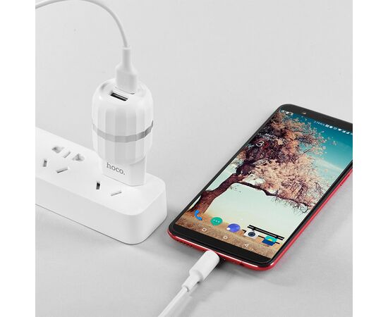  Сетевое зарядное устройство HOCO C41A Wisdom 2xUSB с Кабелем USB - Micro, 2.4A, 10.8W, белый 