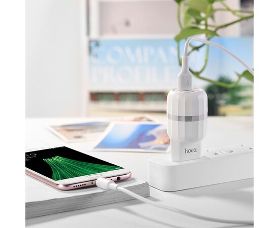  Сетевое зарядное устройство HOCO C41A Wisdom 2xUSB с Кабелем USB - Micro, 2.4A, 10.8W, белый 