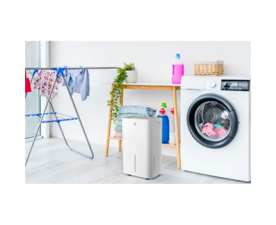 Осушитель воздуха Royal Clima Pacific Loft RD-PC25-E белый 