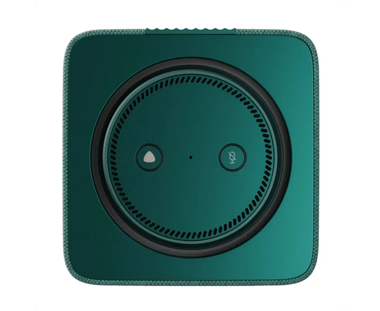  Умная колонка Яндекс Станция Макс с Zigbee YNDX-00053Z, зеленый 