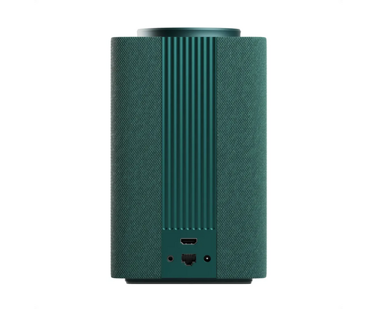  Умная колонка Яндекс Станция Макс с Zigbee YNDX-00053Z, зеленый 