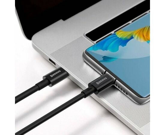  Дата-кабель Baseus Superior (CATLYS-C01) Fast Charging Type-C to iP PD 20W 2m Black 