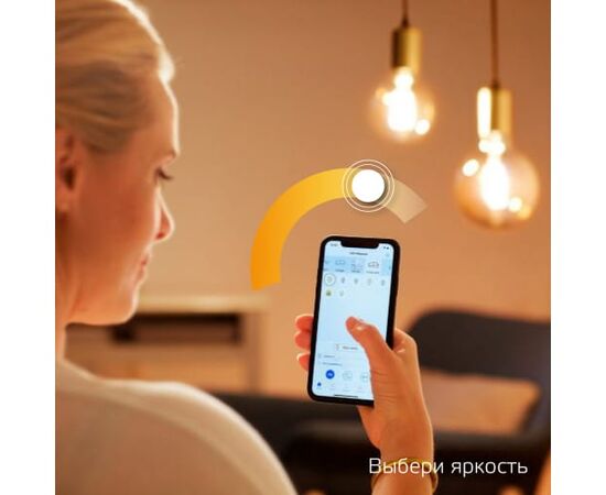  Умная лампа Gauss Smart Home ST64 (1290112) E27 Wi-Fi 