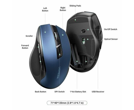  Мышь UGREEN MU006 (25753) Ergonomic Wireless Mouse Blue 